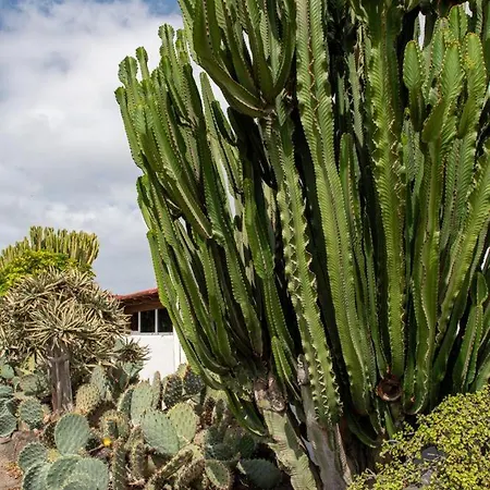 Daire Luna Fkk Nudist Place