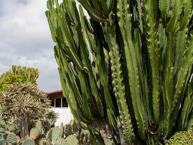 Apartamento Luna Fkk Nudist Place