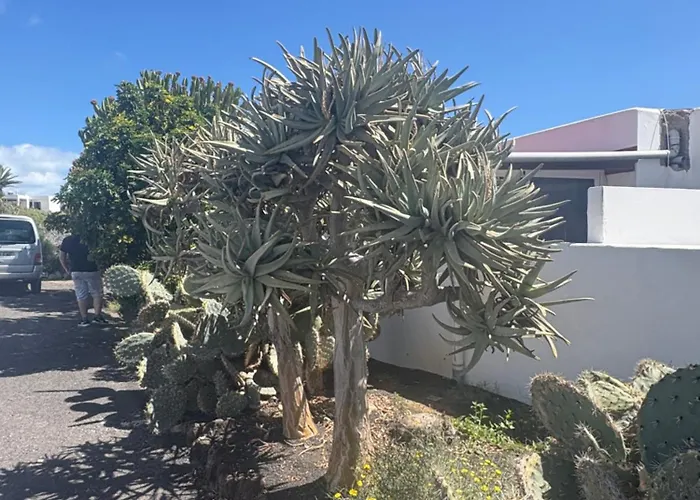 Luna Fkk Nudist Place *