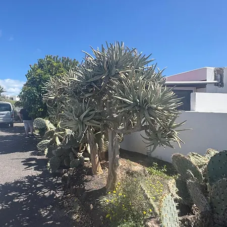 Luna Fkk Nudist Place *