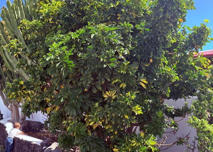 Luna Fkk Nudist Place Charco del Palo